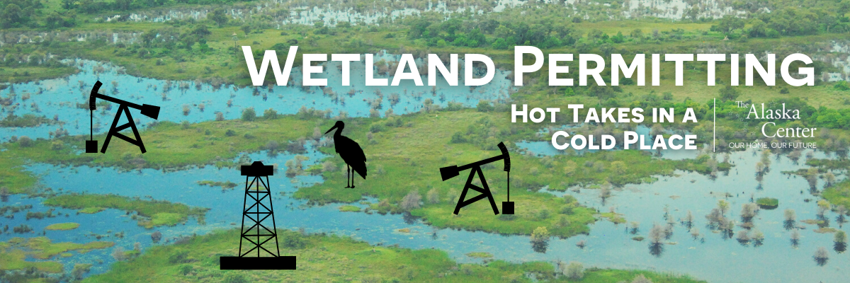 Featured image for “Wetland Permitting”