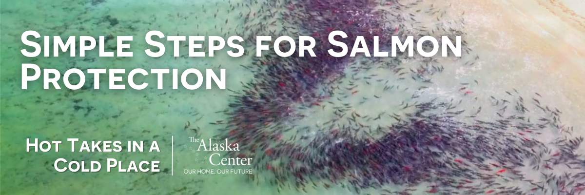 Featured image for “Simple Steps for Salmon Protection”